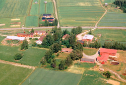 sukujuhla-94-003
